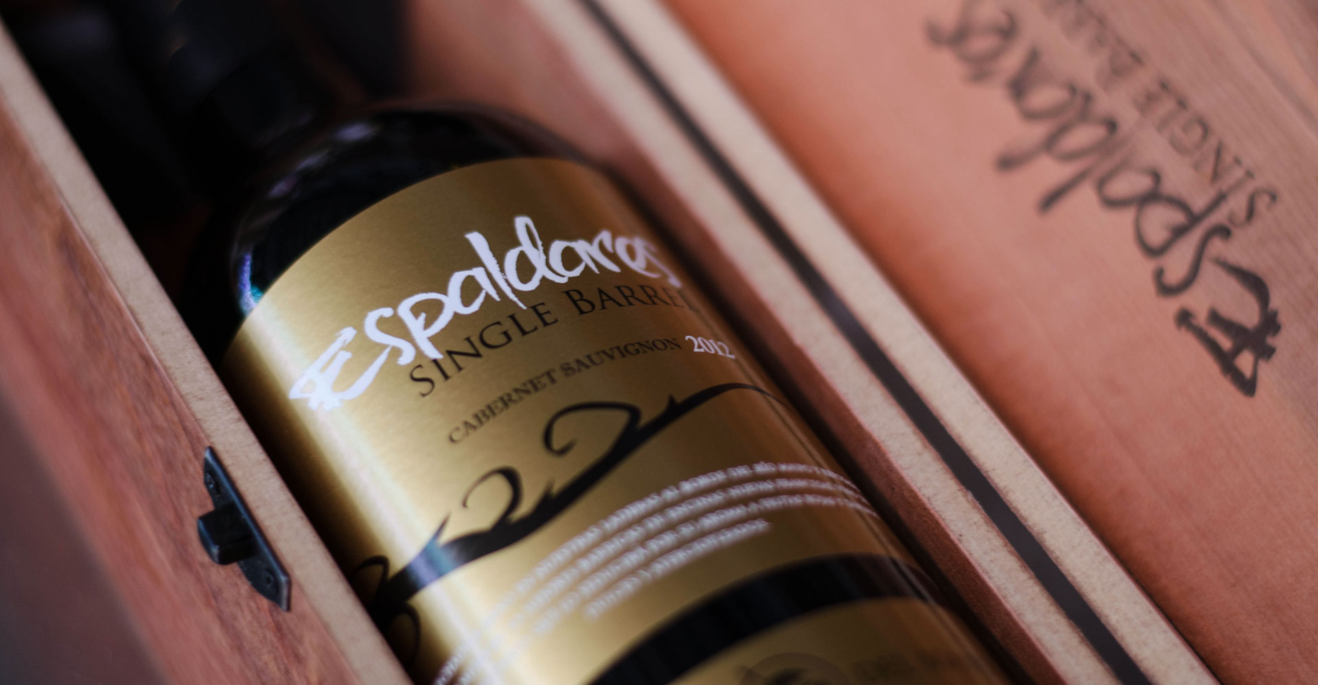 Vinos Espaldares del Maipo