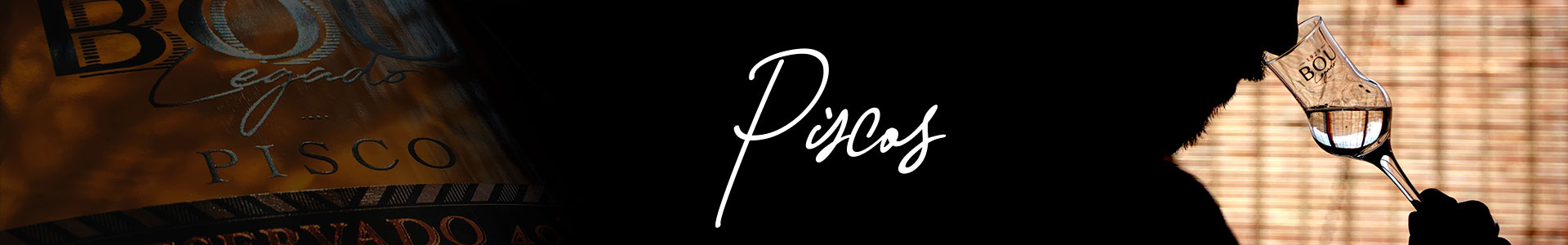 Banner Piscos